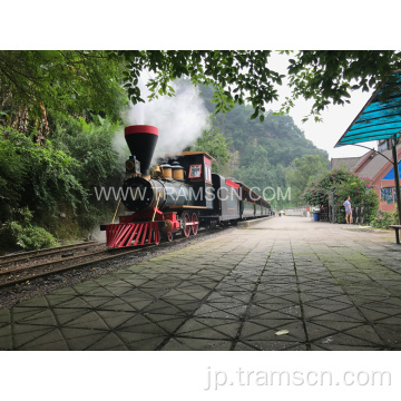 Trvaellingのための駅で蒸気トラックの列車